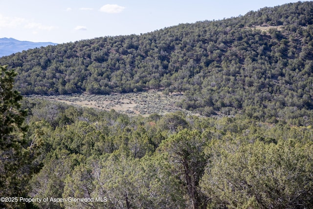 TBD Mystic Mesa Rd, Hotchkiss, CO 81419