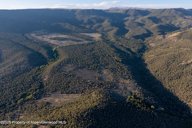TBD Mystic Mesa Rd, Hotchkiss, CO 81419