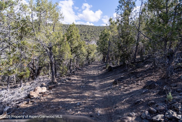 TBD Mystic Mesa Rd, Hotchkiss, CO 81419