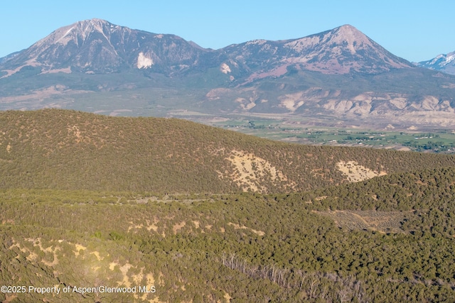 TBD Mystic Mesa Rd, Hotchkiss, CO 81419