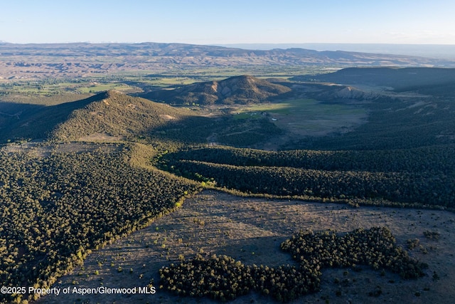 TBD Mystic Mesa Rd, Hotchkiss, CO 81419
