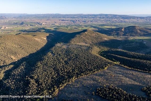 TBD Mystic Mesa Rd, Hotchkiss, CO 81419