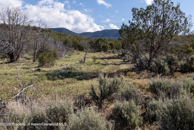 TBD Mystic Mesa Rd, Hotchkiss, CO 81419