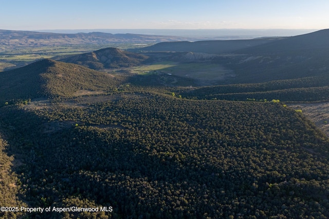TBD Mystic Mesa Rd, Hotchkiss, CO 81419
