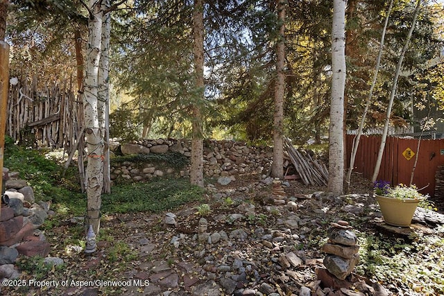 311 Midland Ave, Aspen, CO 81611 - view of yard