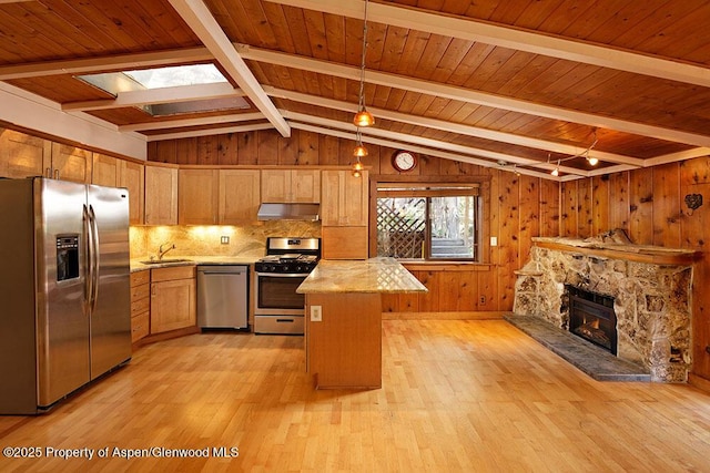 311 Midland Ave, Aspen, CO 81611 - kitchen featuring appliances with stainless steel finishes, under cabinet range hood, light wood-type flooring, a sink, and tasteful backsplash