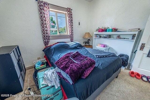 769 Legion St, Craig, CO 81625 - photo 17