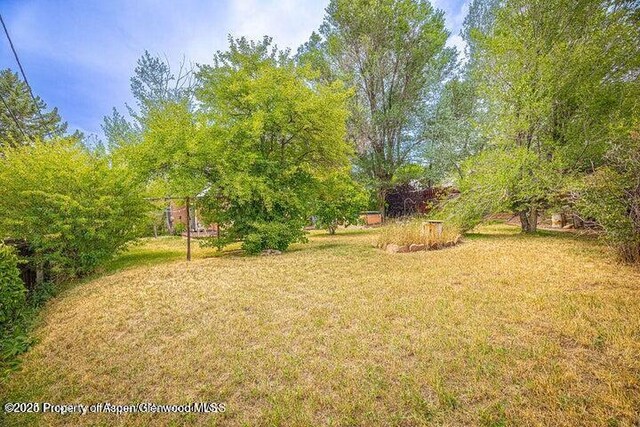 769 Legion St, Craig, CO 81625 - photo 47