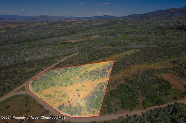 1750 Fiddleneck Dr, Craig, CO 81625