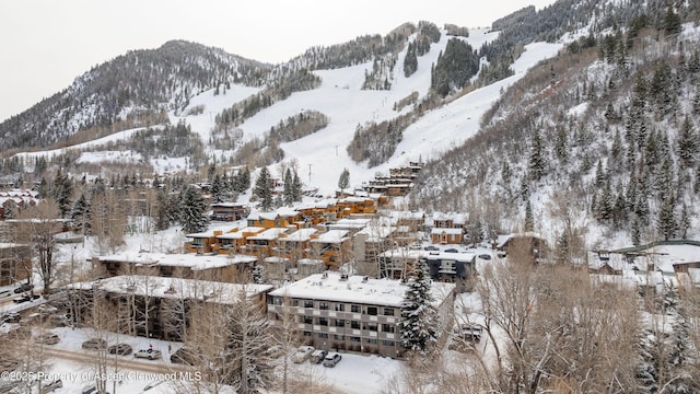100 E Dean St Unit 1-D, Aspen, CO 81611 - photo 25