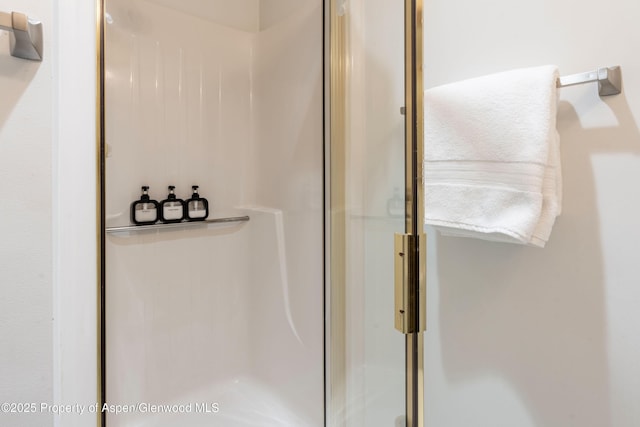 100 E Dean St Unit 1-D, Aspen, CO 81611 - photo 21