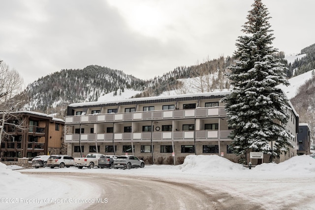 100 E Dean St Unit 1-D, Aspen, CO 81611 - photo 24