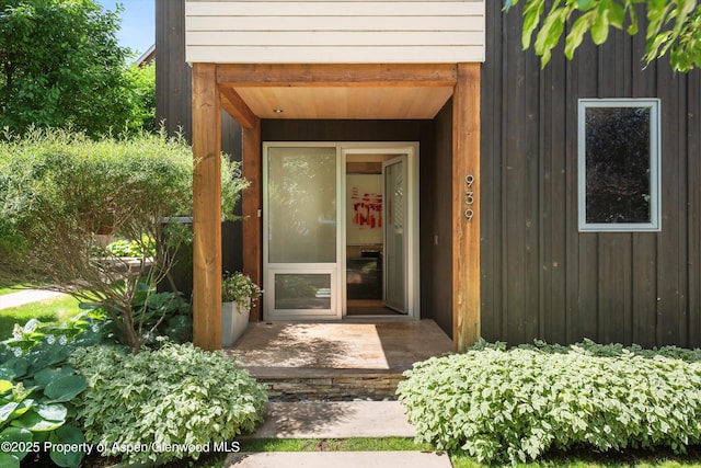 939 E Cooper Ave, Aspen, CO 81611 - doorway to property