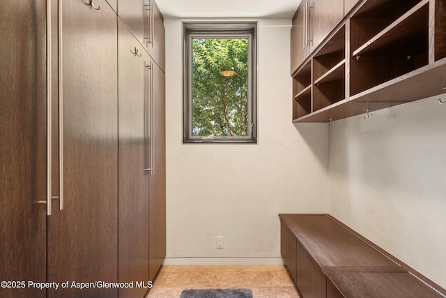 939 E Cooper Ave, Aspen, CO 81611 - mudroom with baseboards