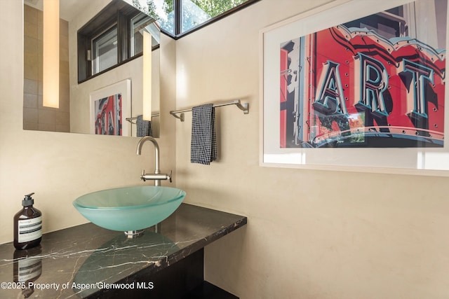 939 E Cooper Ave, Aspen, CO 81611 - bathroom with a sink