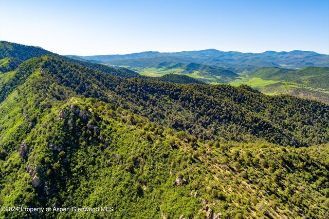 LOT2 County Road 335, New Castle, CO 81647 - photo 14