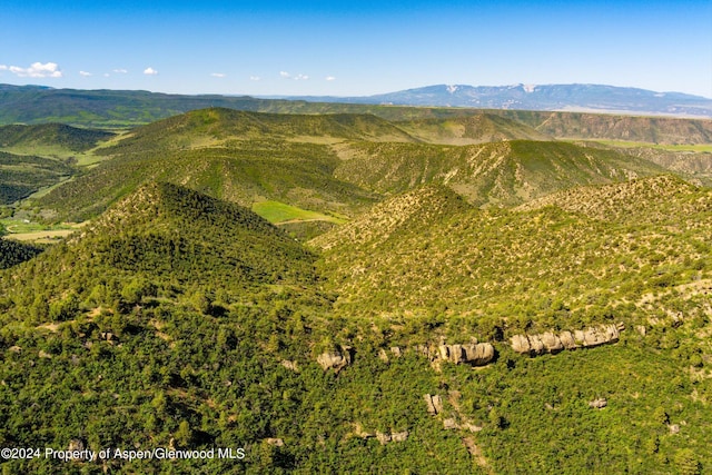 LOT2 County Road 335, New Castle, CO 81647 - photo 17