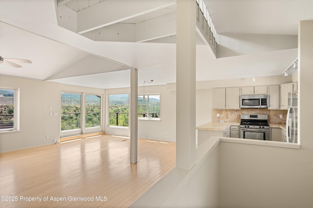 34 Twining Flats Rd, Aspen, CO 81611 - photo 9