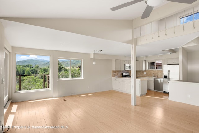 34 Twining Flats Rd, Aspen, CO 81611 - photo 8