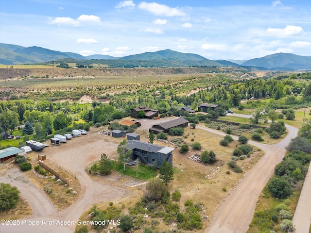 34 Twining Flats Rd, Aspen, CO 81611 - photo 4