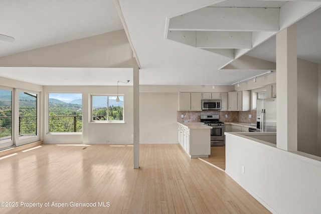 34 Twining Flats Rd, Aspen, CO 81611 - photo 11