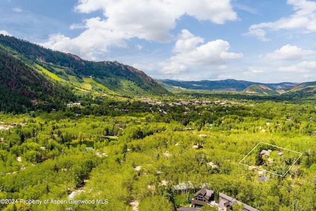 view of mountain feature