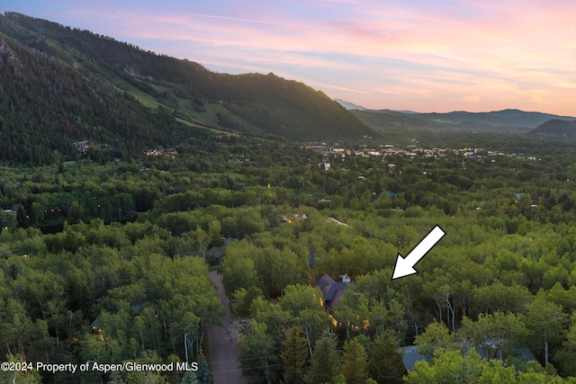 137 Westview Dr, Aspen, CO 81611 - photo 43