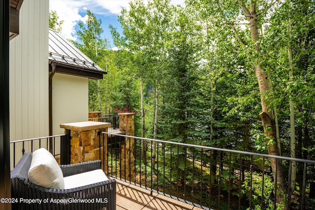 137 Westview Dr, Aspen, CO 81611 - photo 20