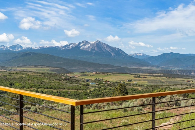 664 Saddle Dr, Carbondale, CO 81623 - photo 44
