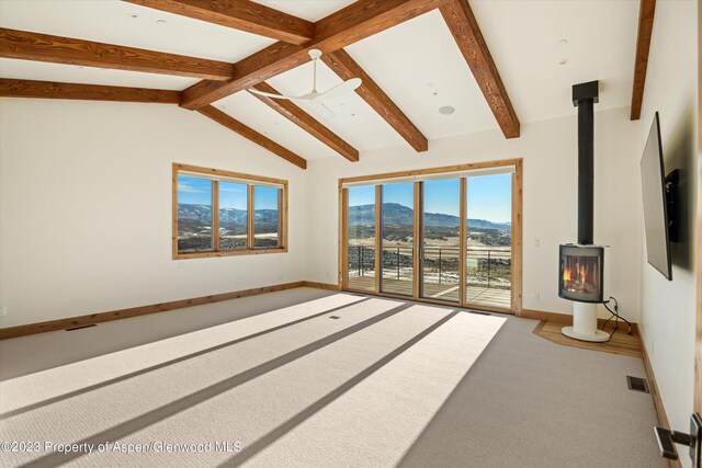 664 Saddle Dr, Carbondale, CO 81623 - photo 26