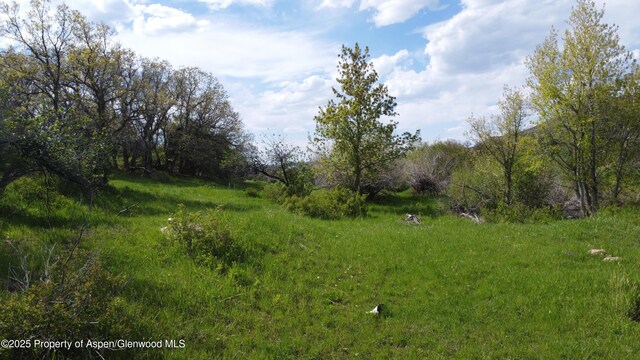 7900 County Road 41, Hamilton, CO 81638 - photo 25