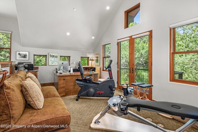 477 Aspen Oak Dr, Aspen, CO 81611 - workout room featuring high vaulted ceiling, carpet flooring, french doors, and recessed lighting