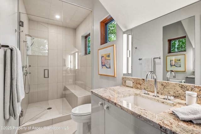 477 Aspen Oak Dr, Aspen, CO 81611 - bathroom with vanity, plenty of natural light, a shower stall, and recessed lighting