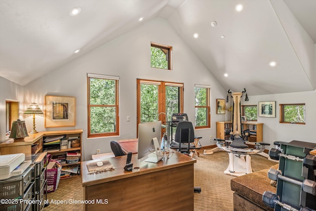 477 Aspen Oak Dr, Aspen, CO 81611 - carpeted office space featuring recessed lighting and high vaulted ceiling