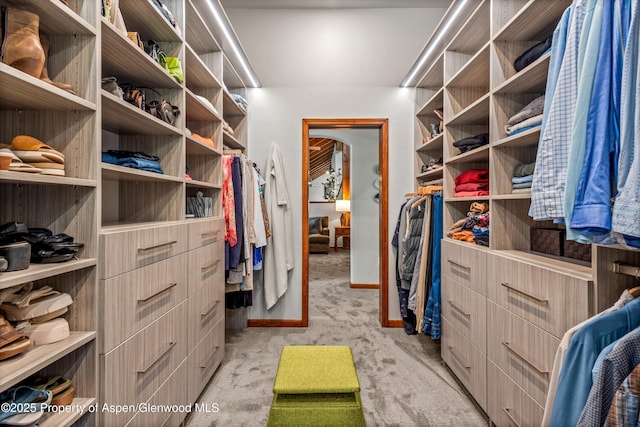 477 Aspen Oak Dr, Aspen, CO 81611 - spacious closet with light colored carpet