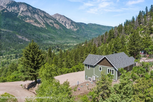 787 Serpentine Trl, Marble, CO 81623 - mountain view featuring a heavily wooded area