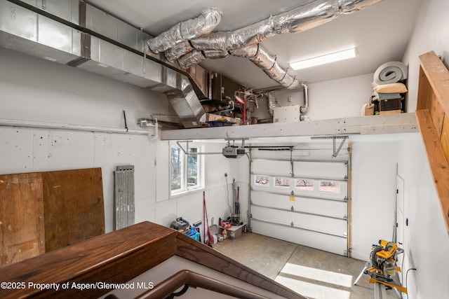 787 Serpentine Trl, Marble, CO 81623 - garage with a garage door opener