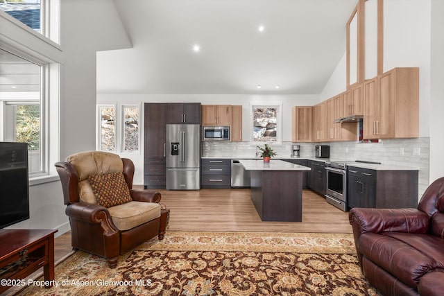 787 Serpentine Trl, Marble, CO 81623 - kitchen featuring open floor plan, appliances with stainless steel finishes, light countertops, tasteful backsplash, and high vaulted ceiling