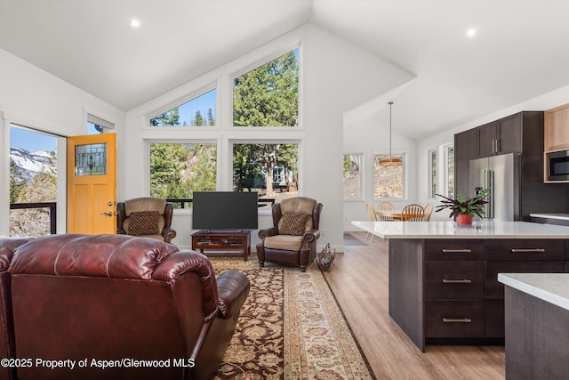 787 Serpentine Trl, Marble, CO 81623 - living area with light wood-style floors, high vaulted ceiling, and recessed lighting