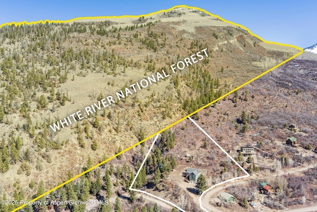 787 Serpentine Trl, Marble, CO 81623 - aerial overview of property's location with property parcel outlined and a mountainous background