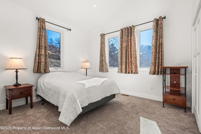 787 Serpentine Trl, Marble, CO 81623 - bedroom featuring lofted ceiling and carpet floors