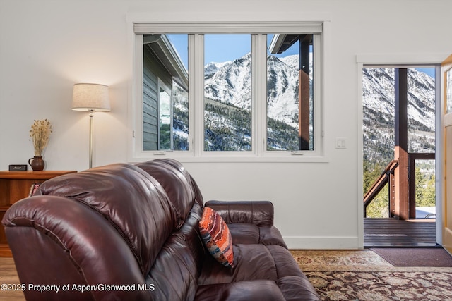 787 Serpentine Trl, Marble, CO 81623 - living room featuring a mountain view, healthy amount of natural light, and wood finished floors