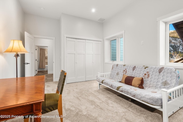787 Serpentine Trl, Marble, CO 81623 - carpeted living room featuring baseboards