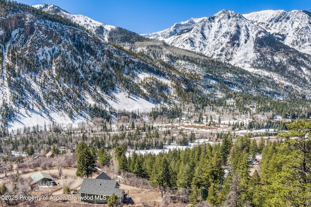 787 Serpentine Trl, Marble, CO 81623 - view of mountain background