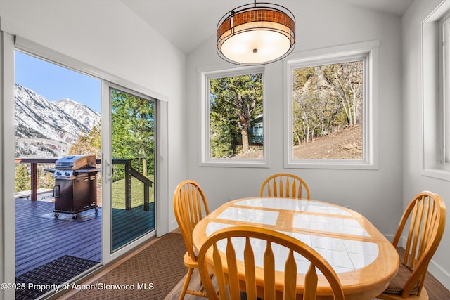 787 Serpentine Trl, Marble, CO 81623 - dining room featuring vaulted ceiling, a mountain view, and wood finished floors