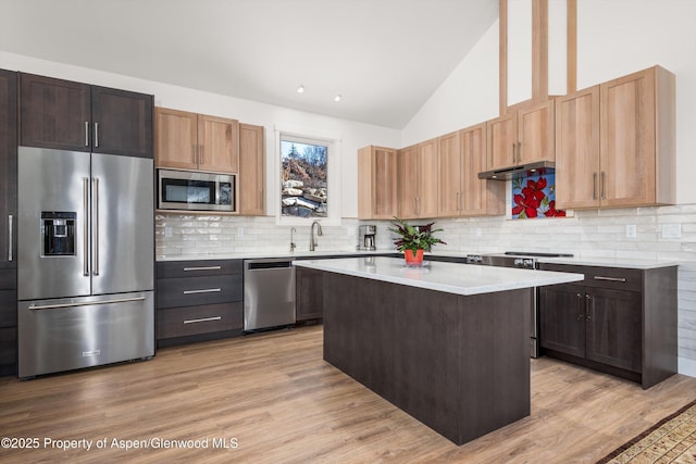 787 Serpentine Trl, Marble, CO 81623 - kitchen with stainless steel appliances, light countertops, backsplash, light wood-style floors, and high vaulted ceiling