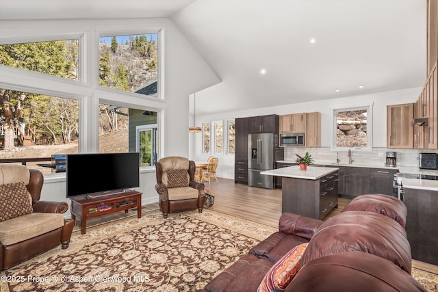 787 Serpentine Trl, Marble, CO 81623 - living room featuring high vaulted ceiling and wood finished floors