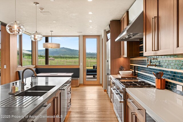 425 Aspen Valley Ranch Rd, Woody Creek, CO 81656 - kitchen featuring double oven range, exhaust hood, a mountain view, light wood finished floors, and brown cabinetry
