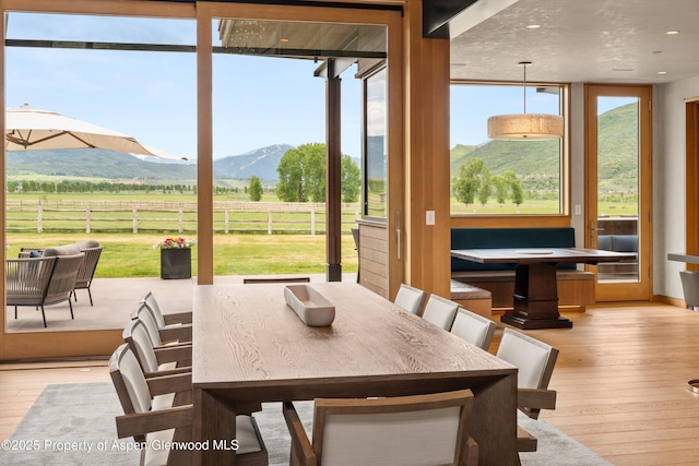 425 Aspen Valley Ranch Rd, Woody Creek, CO 81656 - dining room featuring hardwood / wood-style floors, a mountain view, a rural view, and floor to ceiling windows
