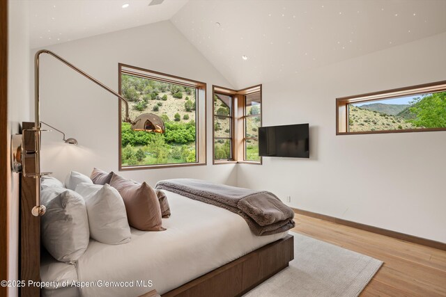 425 Aspen Valley Ranch Rd, Woody Creek, CO 81656 - bedroom with vaulted ceiling, wood finished floors, baseboards, and recessed lighting